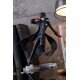 Persona 5 The Animation Estatua PVC Pop Up Parade Joker 17 cm